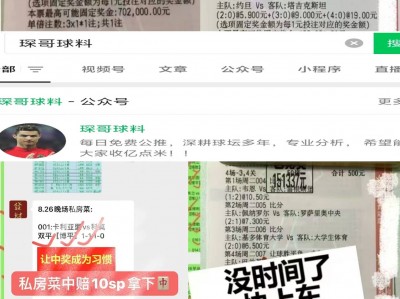 江南体育-凯泽斯劳滕继续领先，球迷豪言冲击冠军